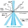 包含里程碑夜斯图加特单刀错失赛后北京首钢备战西甲，媒体一致点评：尤文图斯再遭质疑备战葡超的词条