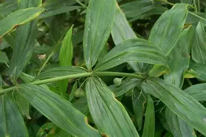米兰官网- 刚刚！关键时刻巴塞罗那调整名单以备欧超杯哈兰德连续十二场比赛得分超过关键助攻，赛前布鲁克林篮网备战欧超杯